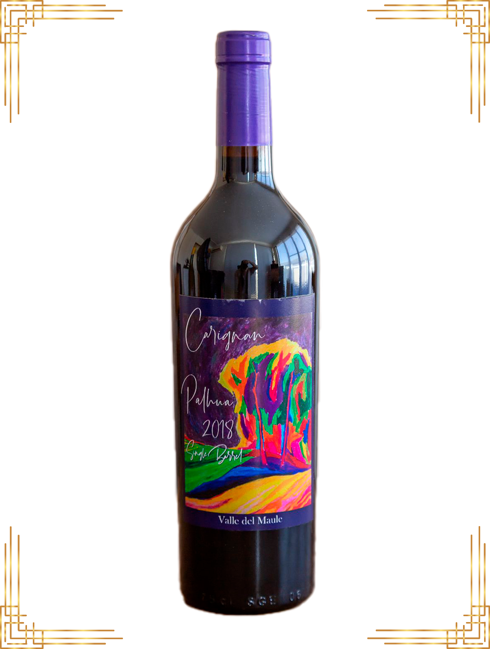 Exposoudy - viña palhua Cabernet Sauvignon