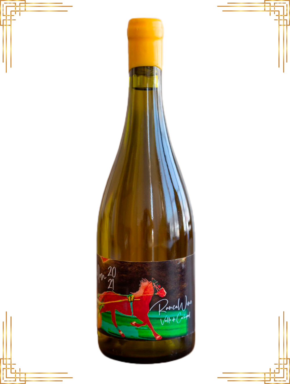 Exposoudy - viña palhua  Sauvignon Blanc