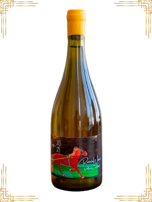 Exposoudy - viña palhua  Sauvignon Blanc