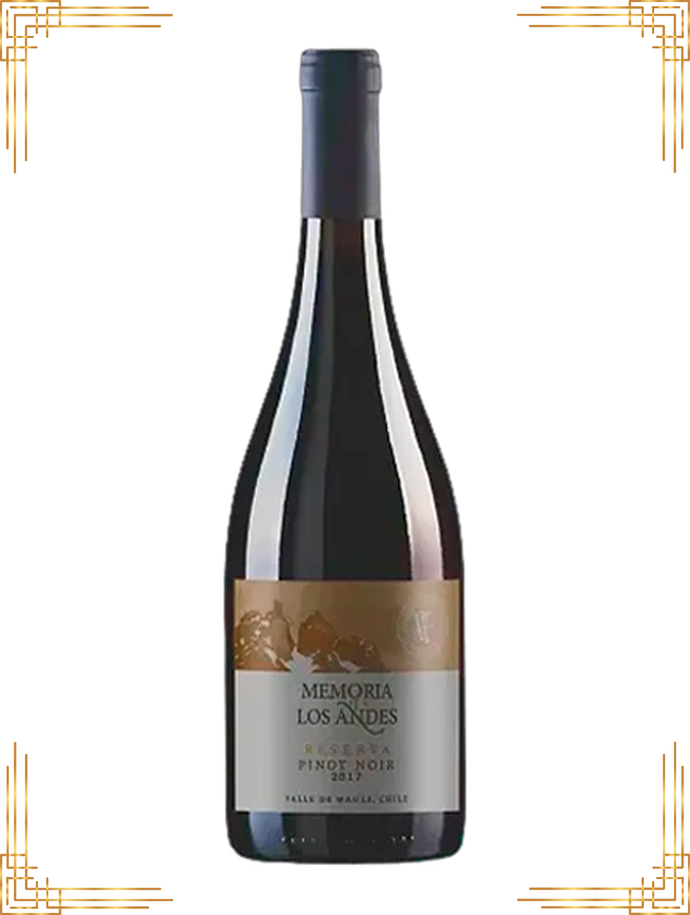 memoria de los andes - pinot noir Reserva